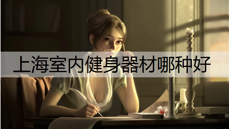 上海室内健身器材哪种好