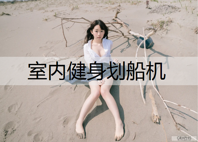 室内健身划船机