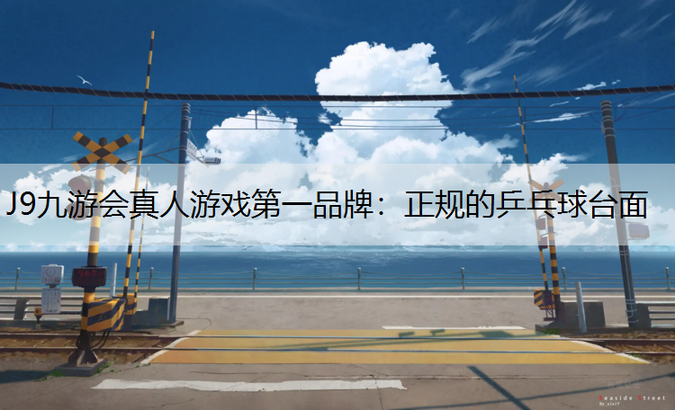 J9九游会真人游戏第一品牌：正规的乒乓球台面