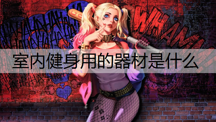 室内健身用的器材是什么