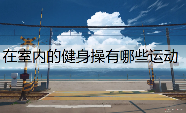 在室内的健身操有哪些运动