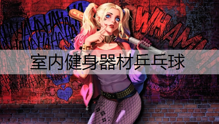 室内健身器材乒乓球
